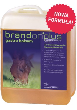 ST.HIPPOLYT Brandon+ Gastro Balsam 2,5l