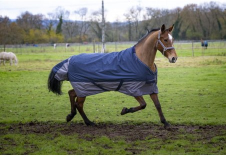 Coperta da paddock EKKIA Turnout Tyrex 0g 600d