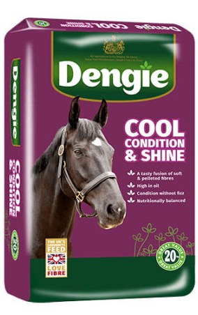 Foraggio trinciato DENGIE Condizione&Shine 20kg
