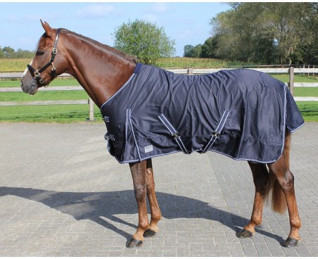 Coperta per cavalli estate QHP Basic