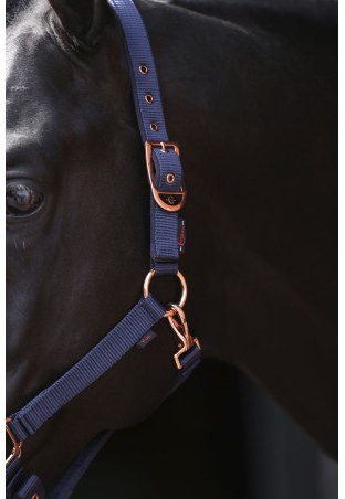 Cavezza COVALLIERO Classy