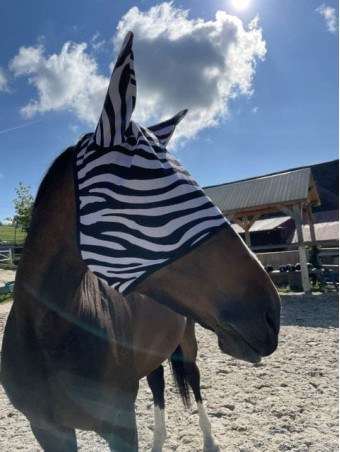Maschera antimosche START Zebra