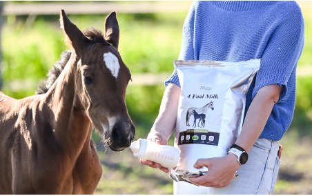latte di sostituzione OH 4 Foal Milk 4kg
