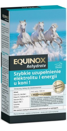 Elettroliti Equinox Rehydrate liquido 1000ml