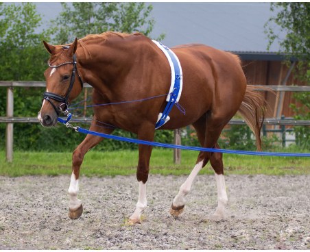 Lunge linea QHP Lunge 8