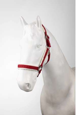 Cavezza HORZE Christmas 25AW