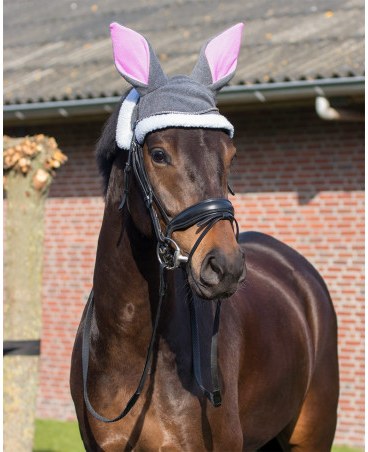 Cuffiette QHP Pasqua