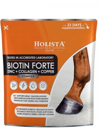 Biotina Forte HOLISTA 500g