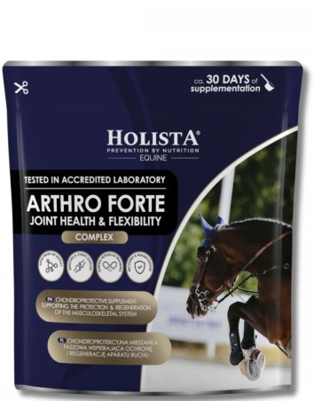 Integratore comune HOLISTA Arthro Forte 600g