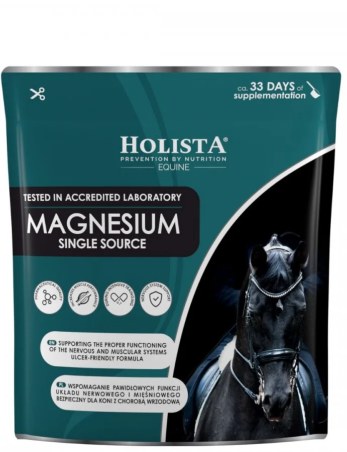 HOLISTA Magnesium Single Source 800g Supplemento