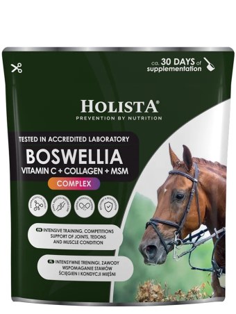 Supplemento HOLISTA Boswellia Serrata Complex 500g