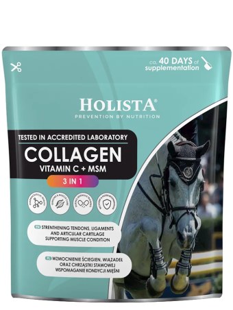 Collagene HOLISTA Collagen 3 in 1 600g Supplemento