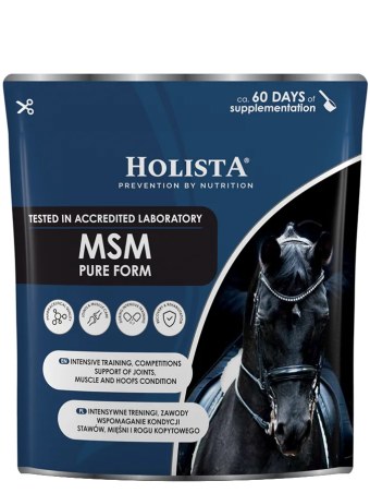HOLISTA MSM Pure 450g Supplemento