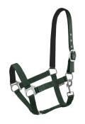 verde scuro