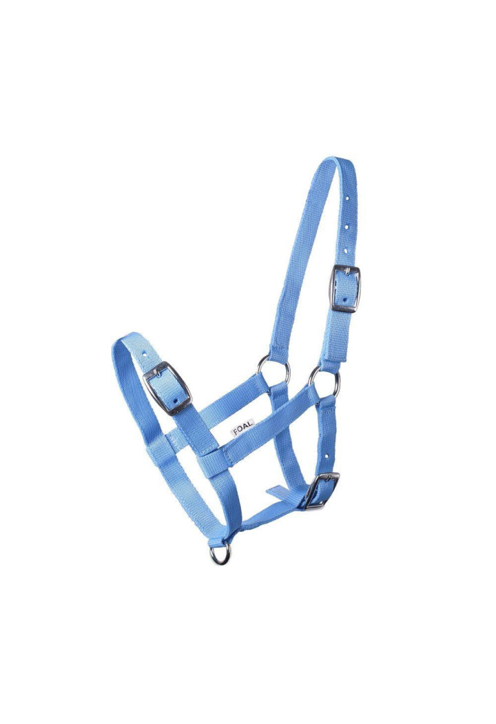 Cavezza START per foal
