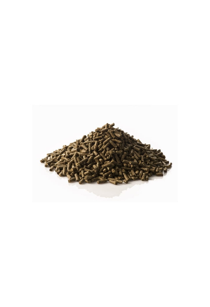 Alimentazione ST.HIPPOLYT granuli Brandon XL 25kg