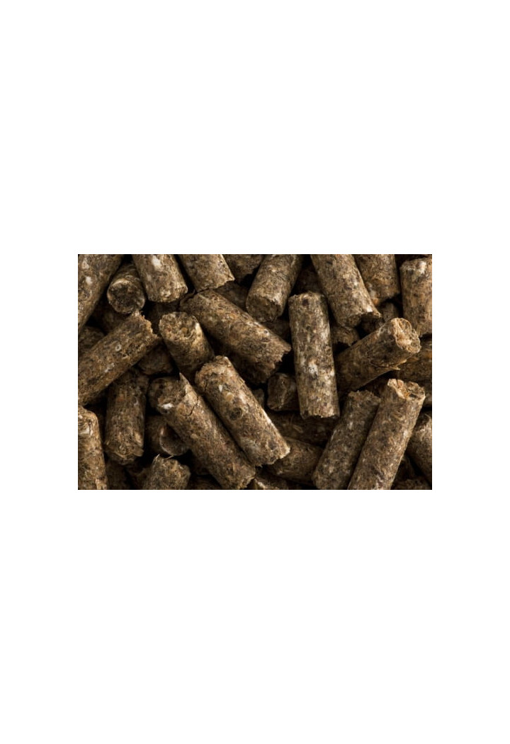 Feed ST.HIPPOLYT La Rosslet Sport 25kg granuli