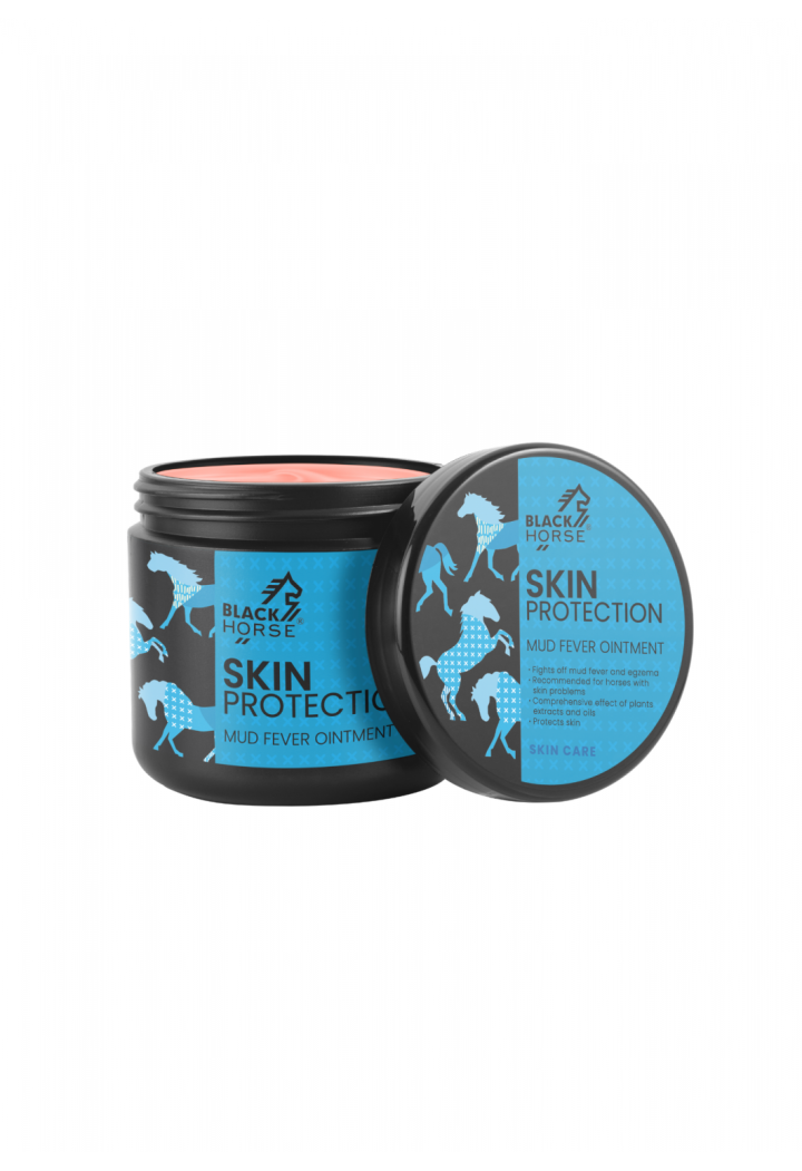 BLACK HORSE SkinProtection 500ml