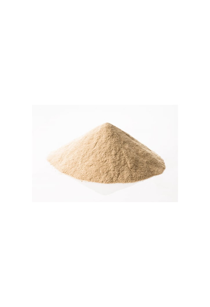 Probiotic BIO-GEN Biogen K 1kg polvere