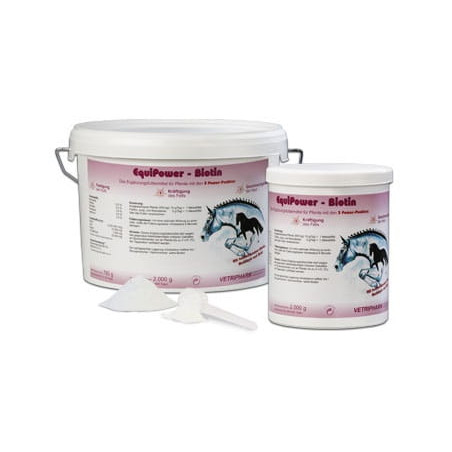 Biotina EQUIPOWER Biotin 750g