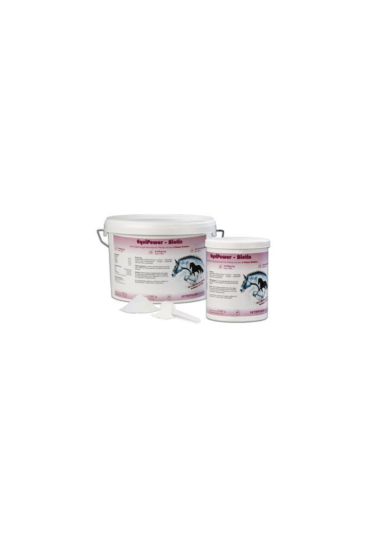 Biotina EQUIPOWER Biotin 750g