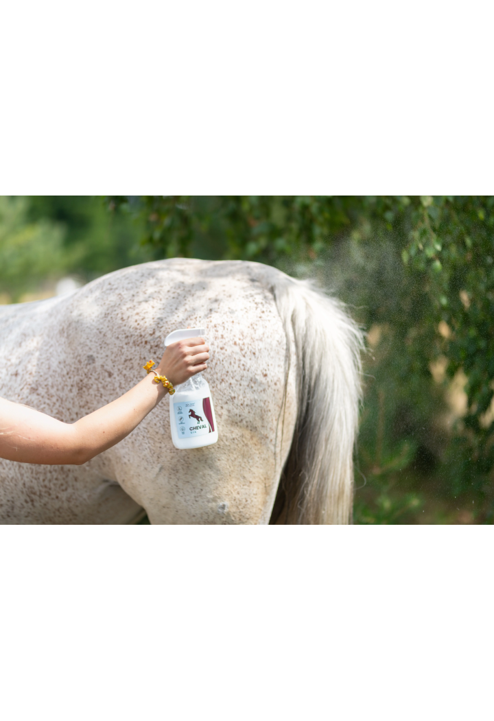 Condizionatore per criniera e coda OH ChevaSilk 650ml spray