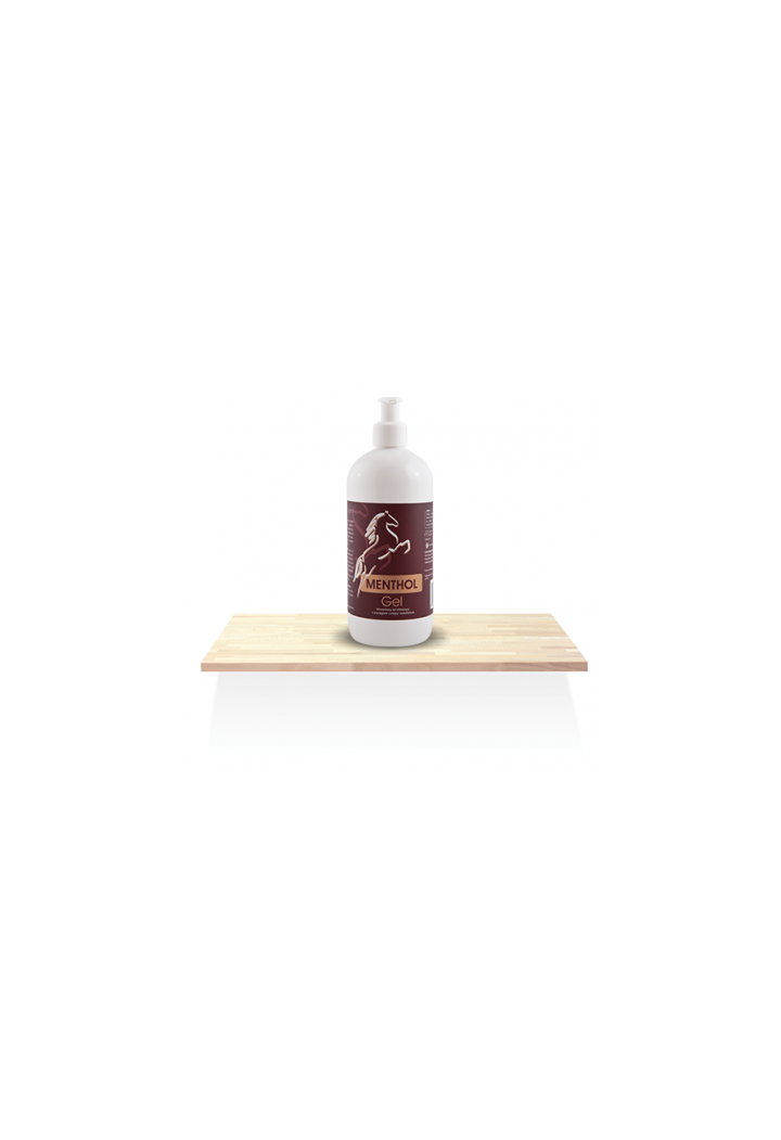 OH MentholGel 500g gel di raffreddamento