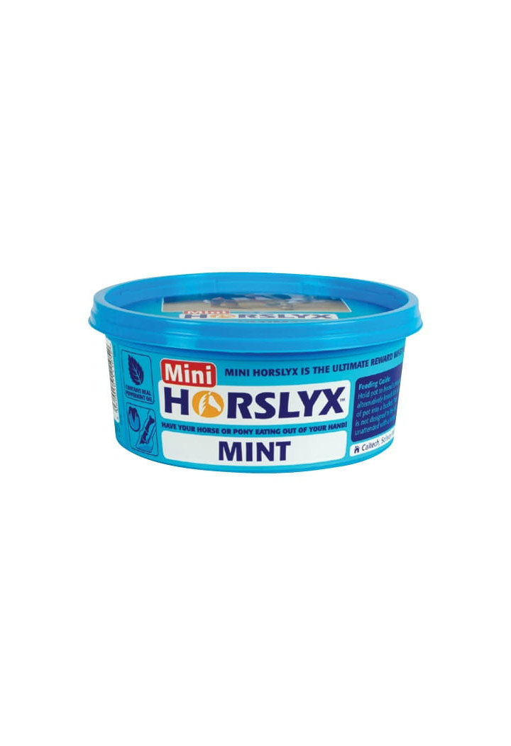 Blocco da leccare HORSLYX vitamina Mint 650g