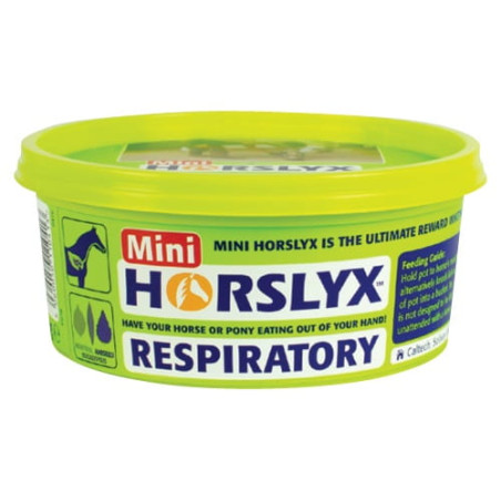 Blocco da leccare HORSLYX vitamina Respiratory 650g