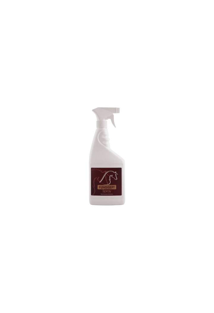 Preparazione per infezioni fungine OH Fungisept Spray 500ml