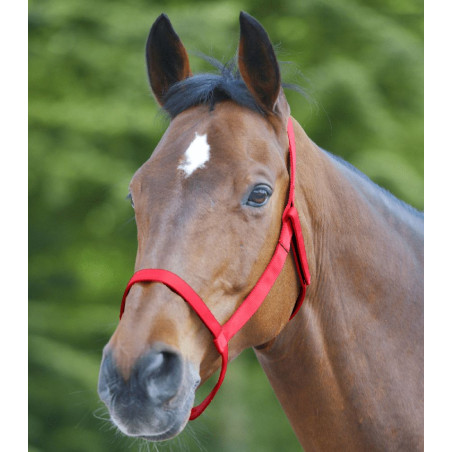 Cavezza WALDHAUSEN Grazing