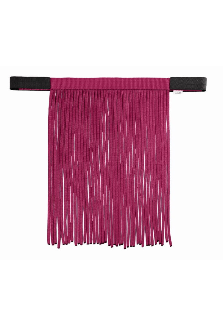 Frontalino con nappe START Economic
