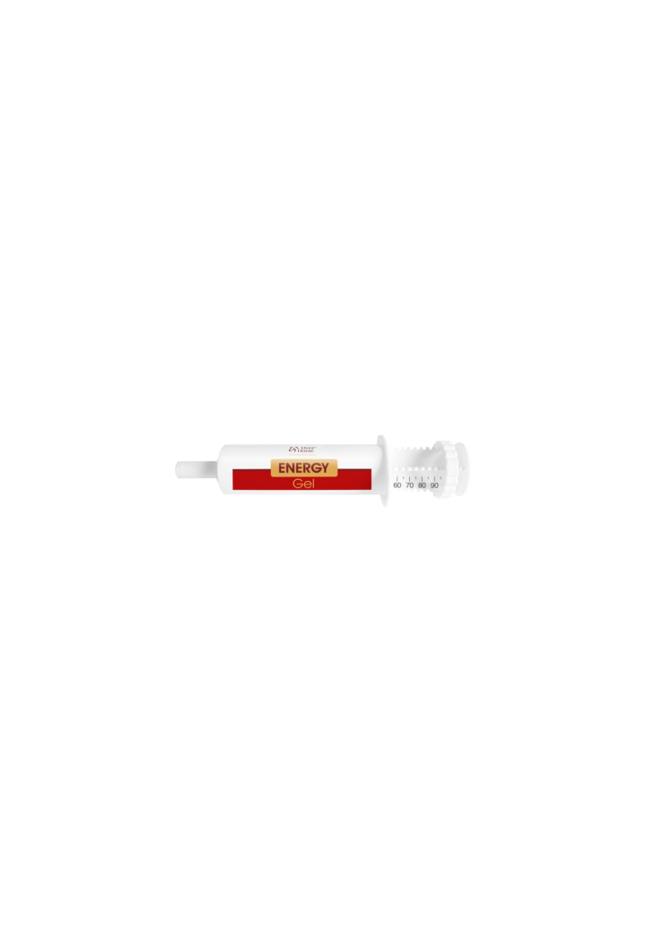 OH Energy Gel 100ml