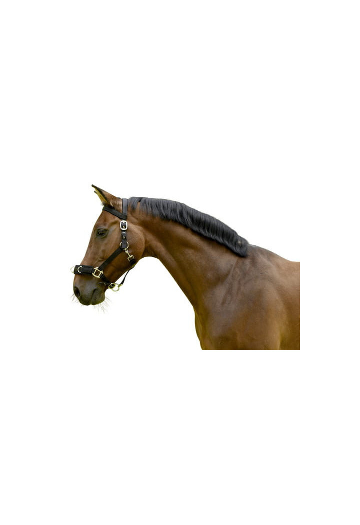 Capezzone KERBL Plastic