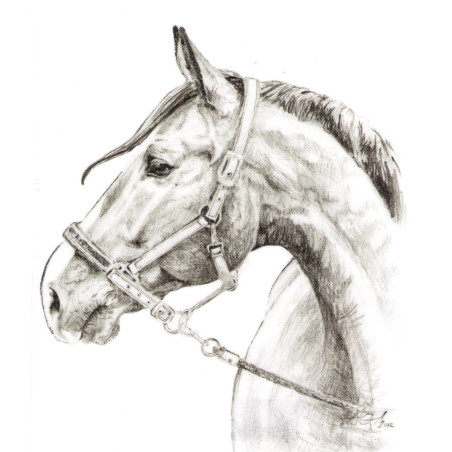 DO STAJNI autoadesivo disegno 1 nero