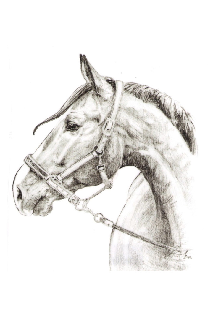 DO STAJNI autoadesivo disegno 1 nero