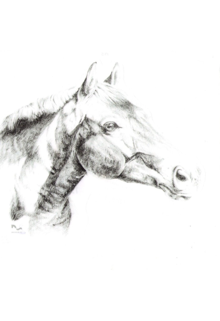 DO STAJNI autoadesivo disegno 2 nero