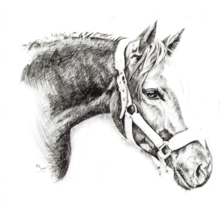 DO STAJNI autoadesivo disegno 3 nero