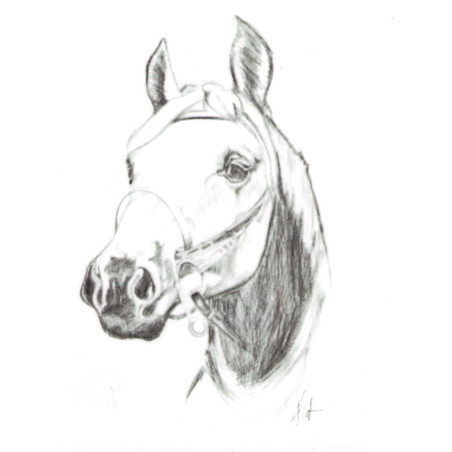 DO STAJNI autoadesivo disegno 4 nero