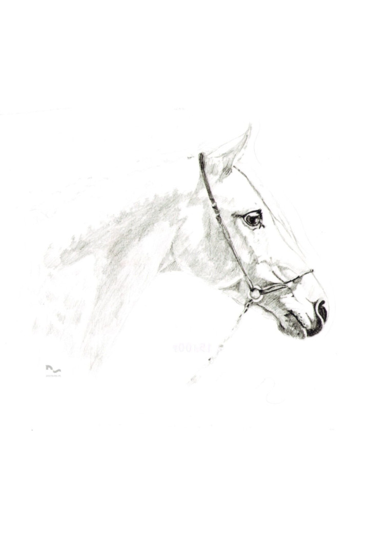 DO STAJNI autoadesivo disegno 5 nero