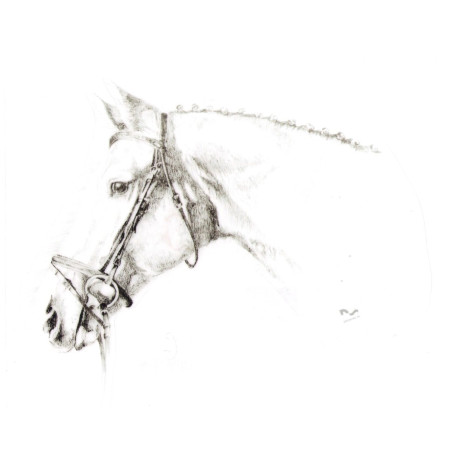 DO STAJNI autoadesivo disegno 6 nero