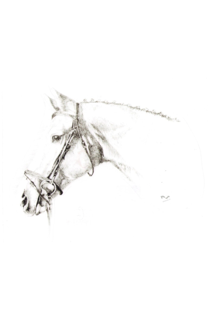 DO STAJNI autoadesivo disegno 6 nero