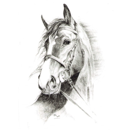 DO STAJNI autoadesivo disegno 7 nero
