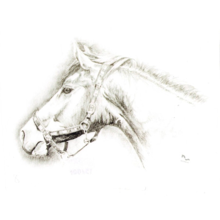 DO STAJNI autoadesivo disegno 8 nero