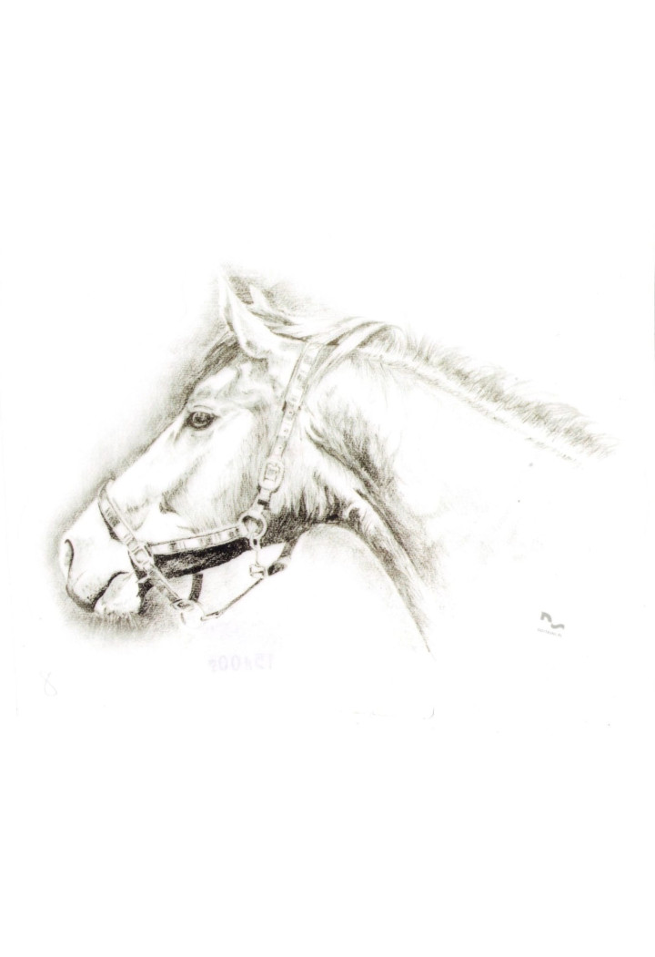DO STAJNI autoadesivo disegno 8 nero