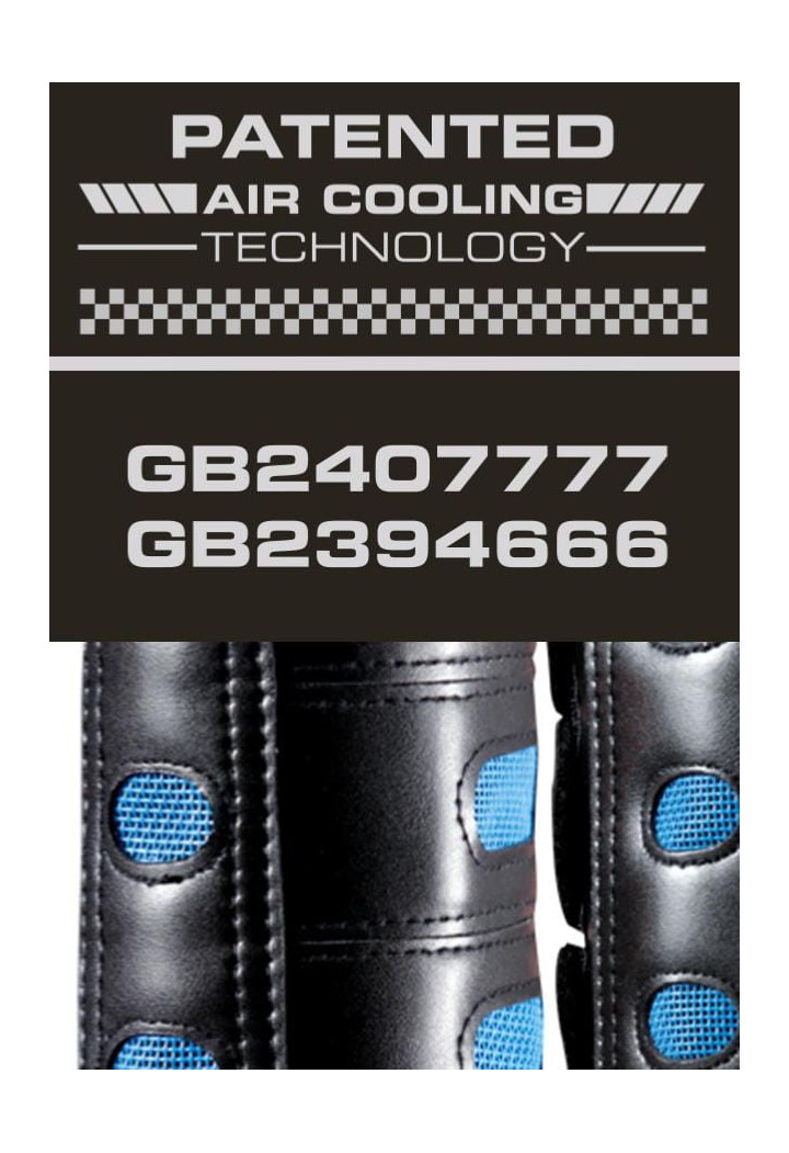 Protezioni PREMIER EQUINE AirCooled posteriore