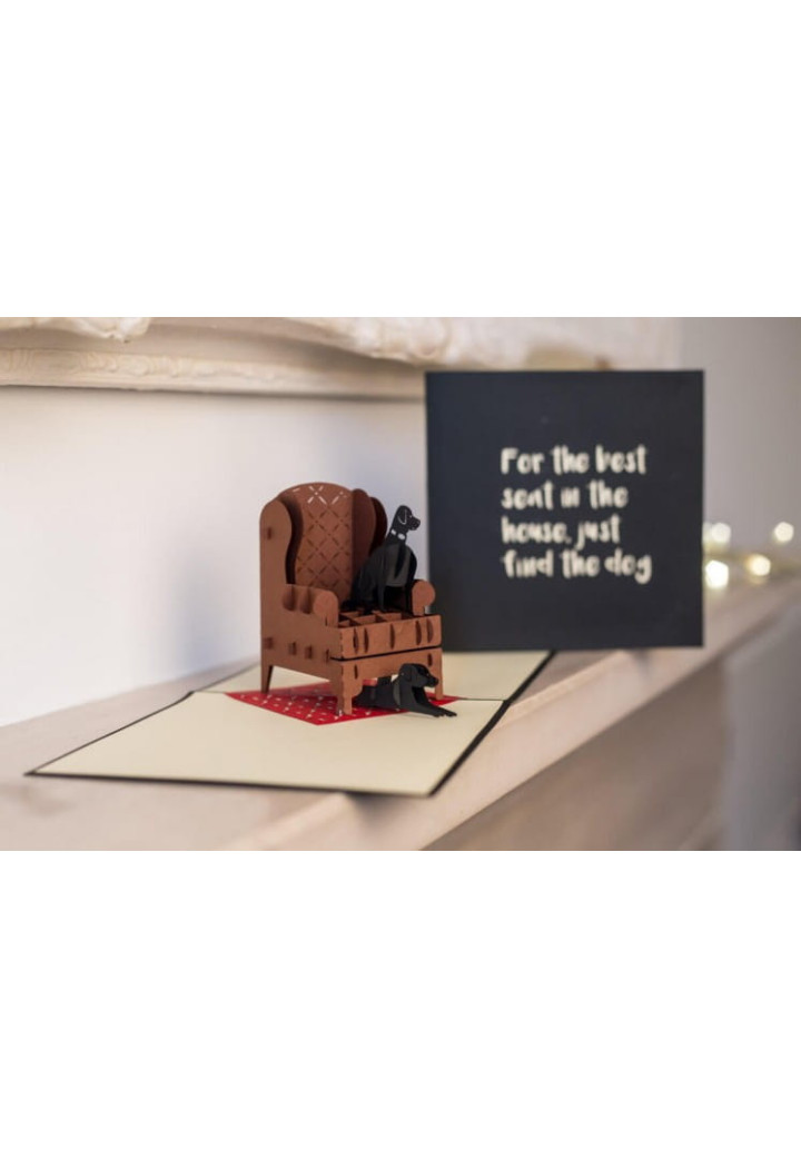 Scheda commemorativa CARDOLOGY Labradors
