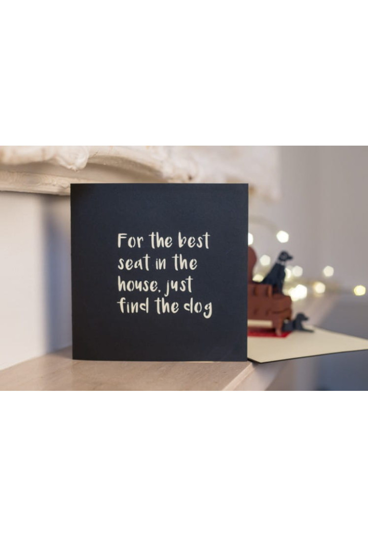 Scheda commemorativa CARDOLOGY Labradors