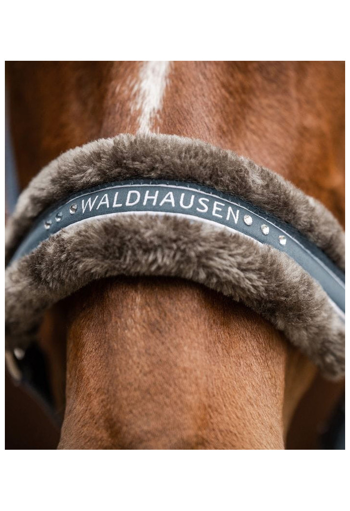 Cavezza WALDHAUSEN Elegante