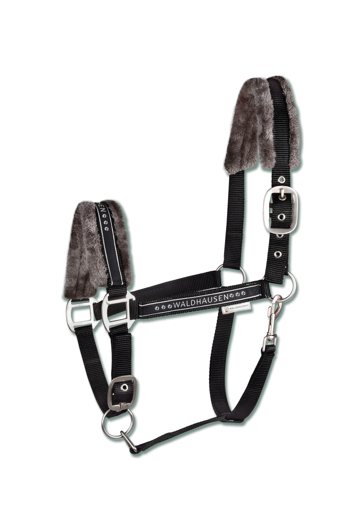 Cavezza WALDHAUSEN Elegante